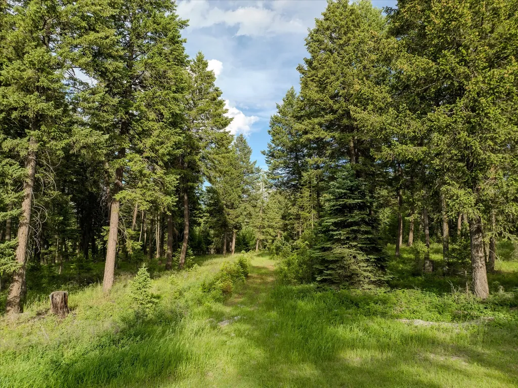 109 Lidstrom Road Whitefish MT 59937