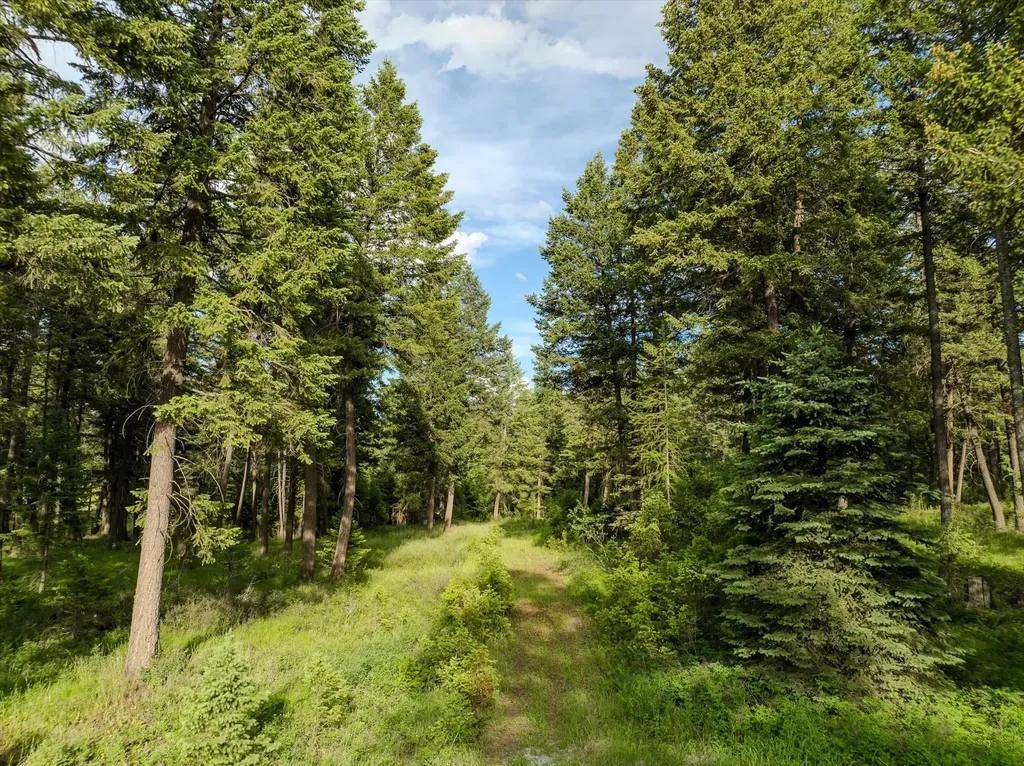 109 Lidstrom Road Whitefish MT 59937