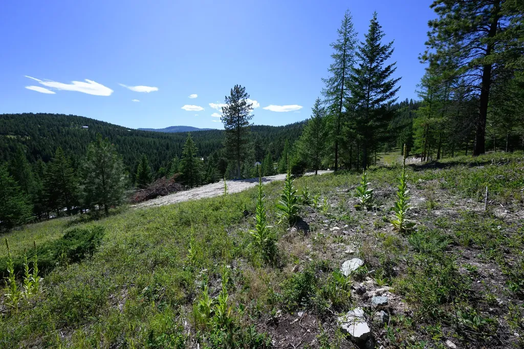 359 Copper Road Kalispell MT 59901