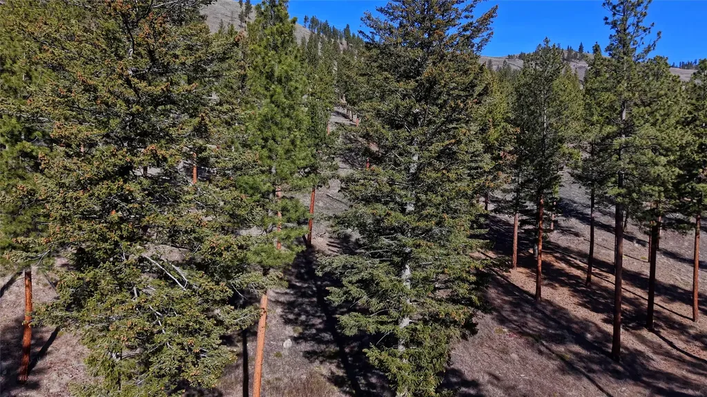 Lot 15 Muddler Court Clinton MT 59825
