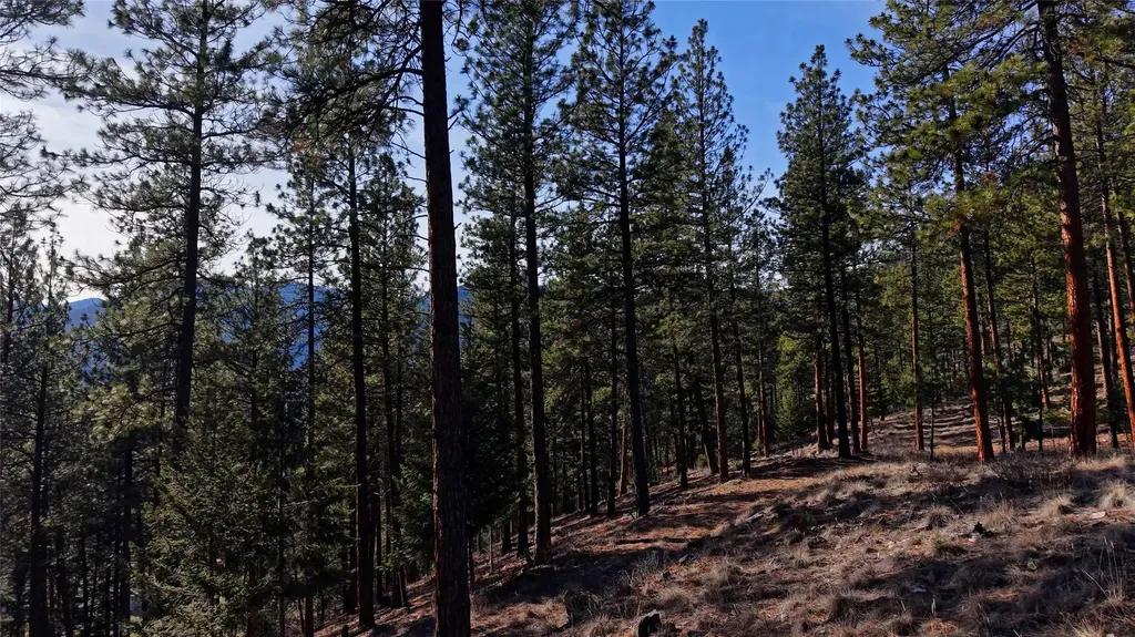 Lot 15 Muddler Court Clinton MT 59825