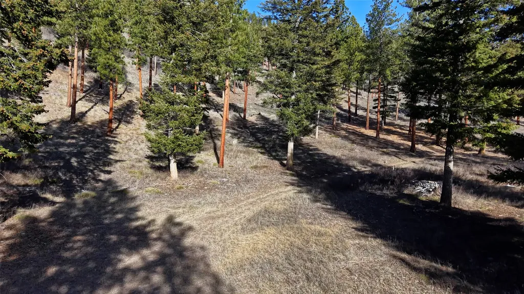 Lot 15 Muddler Court Clinton MT 59825