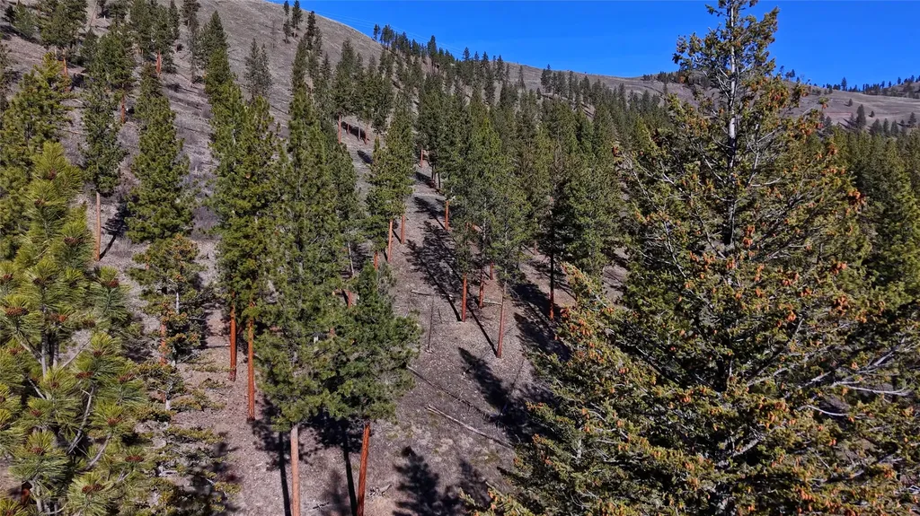 Lot 15 Muddler Court Clinton MT 59825