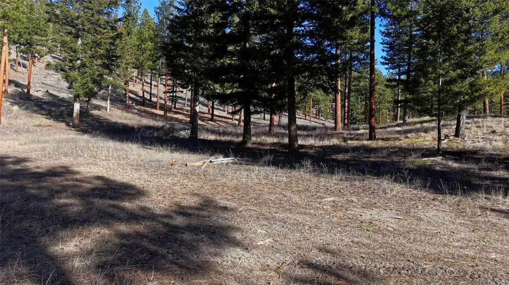 Lot 15 Muddler Court Clinton MT 59825