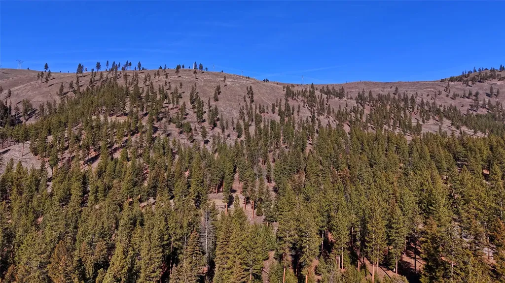 Lot 15 Muddler Court Clinton MT 59825