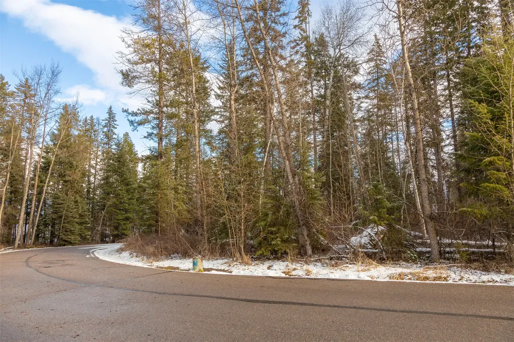 295 Emerald Drive Whitefish MT 59937
