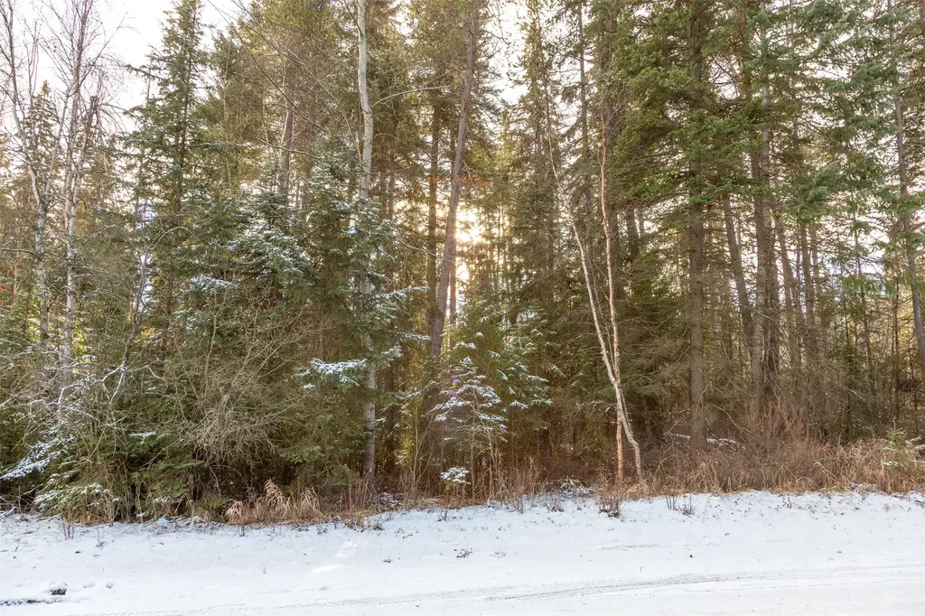295 Emerald Drive Whitefish MT 59937