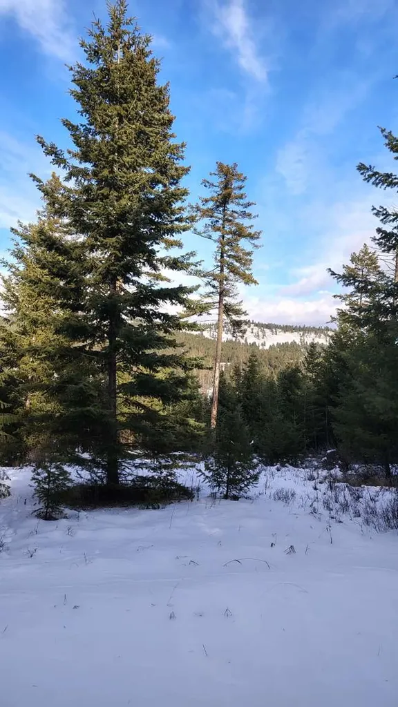 804 Kienas Road Kalispell MT 59901