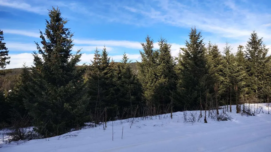804 Kienas Road Kalispell MT 59901