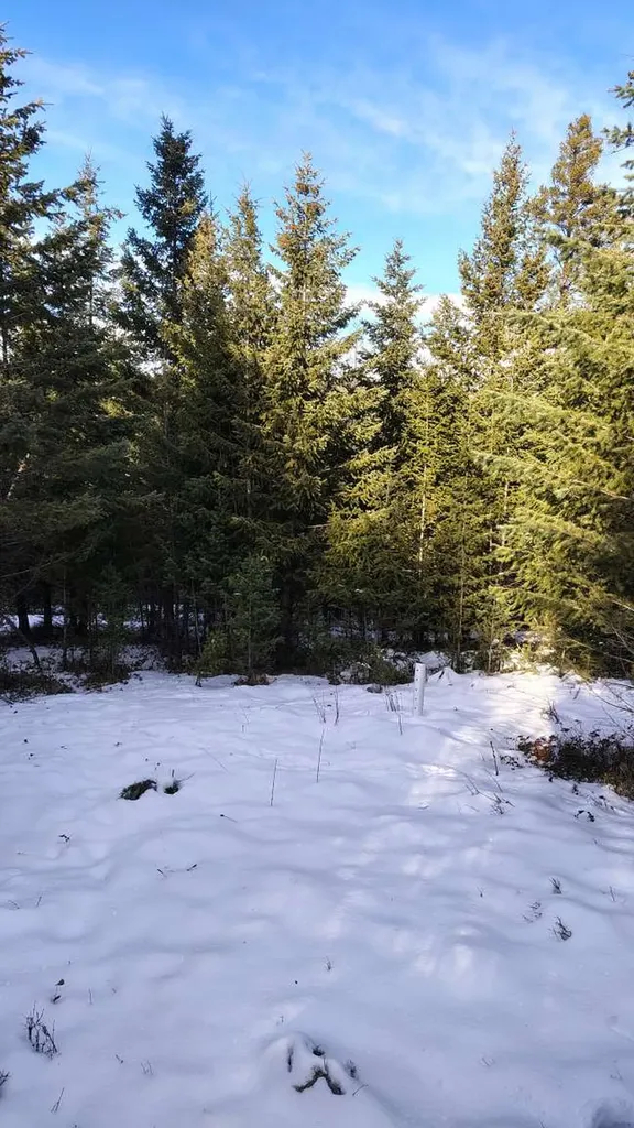 804 Kienas Road Kalispell MT 59901