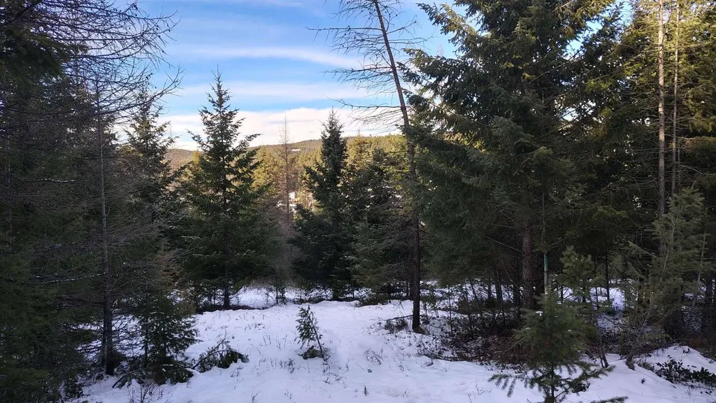 804 Kienas Road Kalispell MT 59901