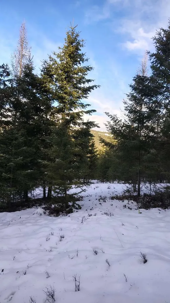 804 Kienas Road Kalispell MT 59901