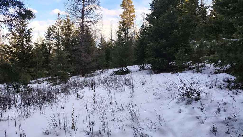 804 Kienas Road Kalispell MT 59901
