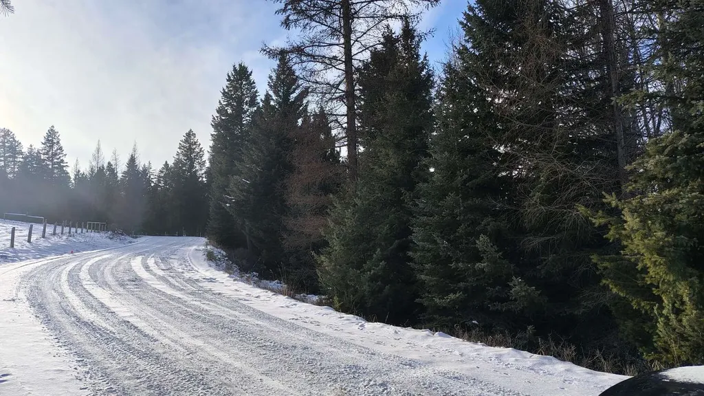 804 Kienas Road Kalispell MT 59901