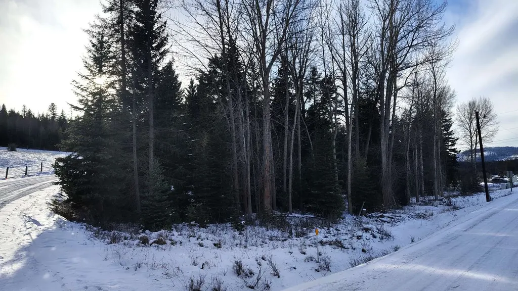 804 Kienas Road Kalispell MT 59901