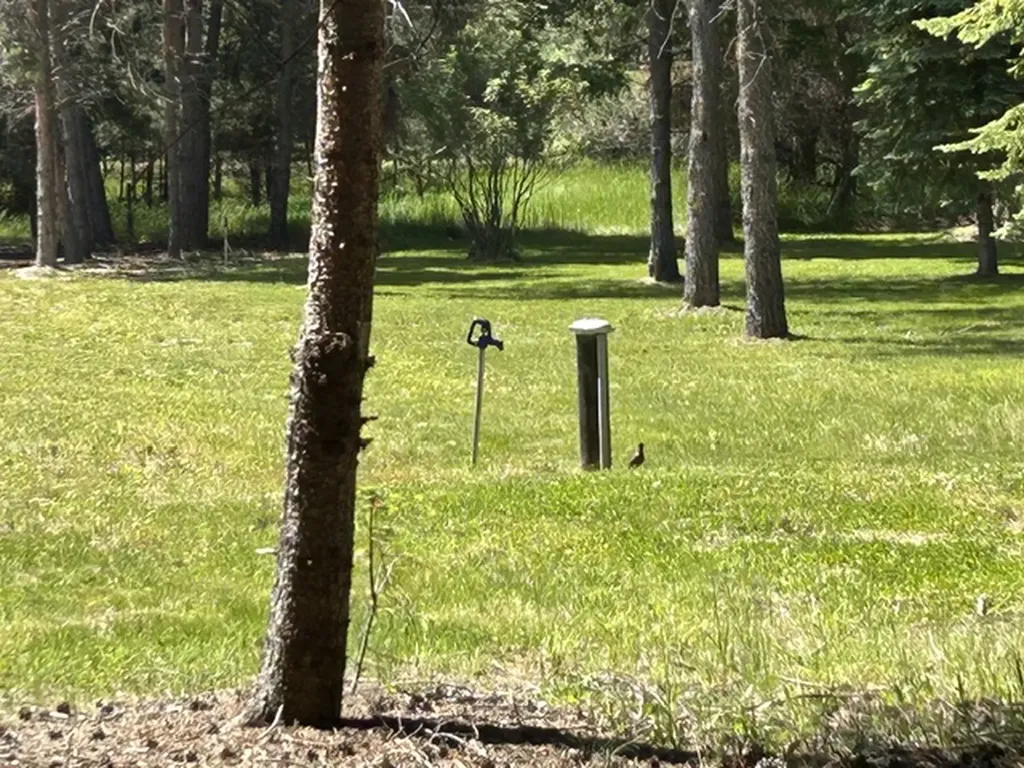 72 Pilots Trail Bigfork MT 59911
