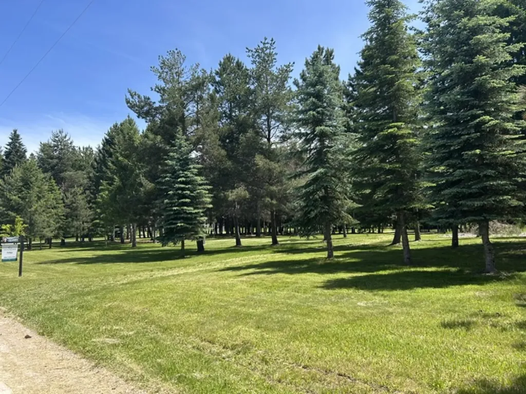 72 Pilots Trail Bigfork MT 59911