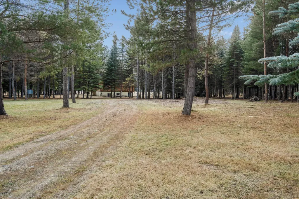 72 Pilots Trail Bigfork MT 59911