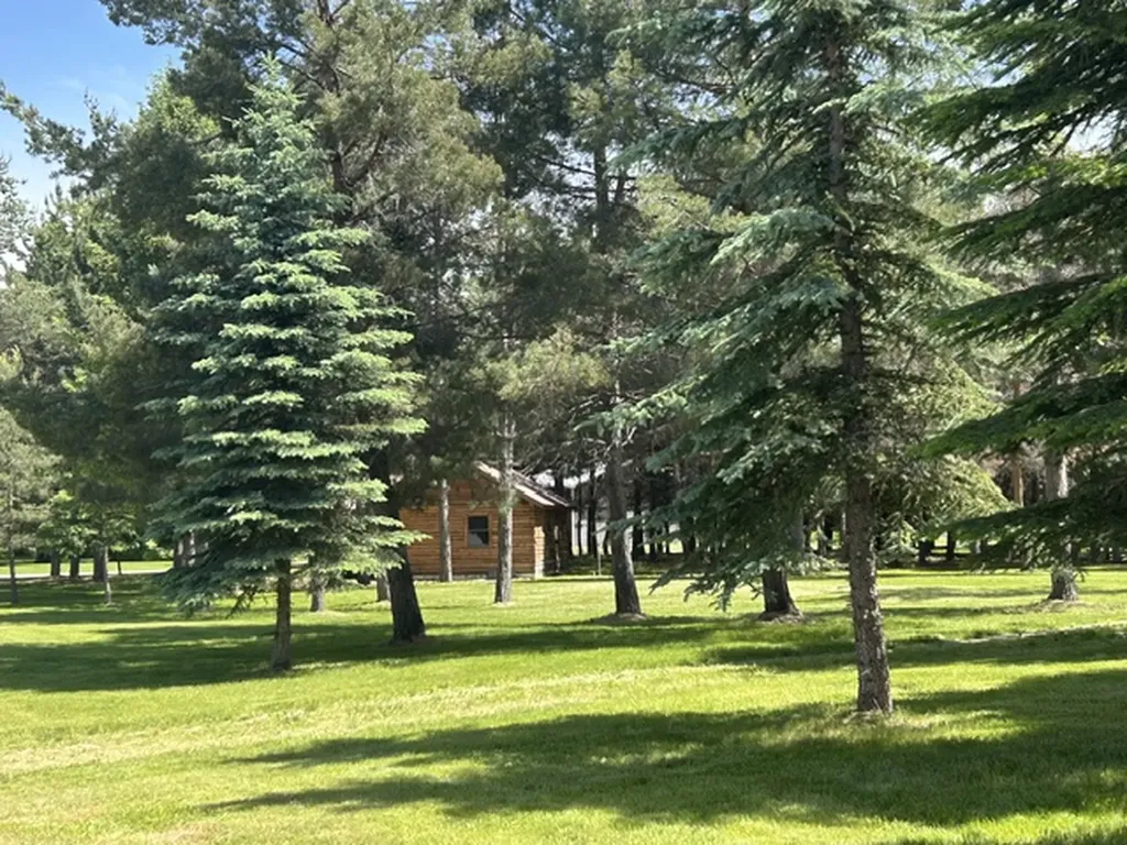 72 Pilots Trail Bigfork MT 59911