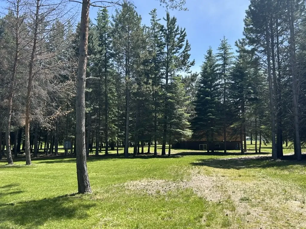 72 Pilots Trail Bigfork MT 59911