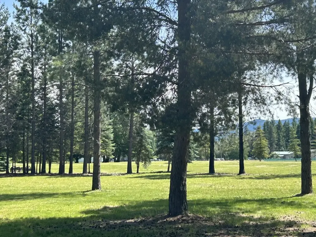 72 Pilots Trail Bigfork MT 59911