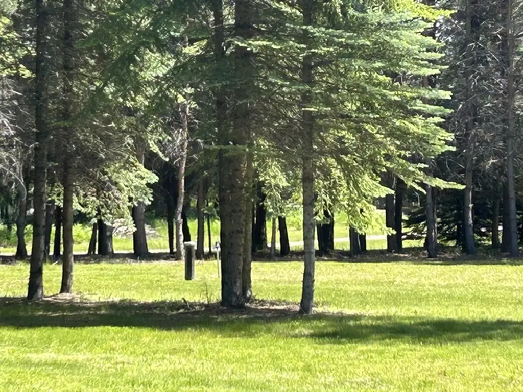 72 Pilots Trail Bigfork MT 59911