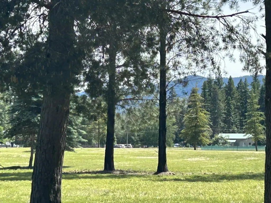 72 Pilots Trail Bigfork MT 59911