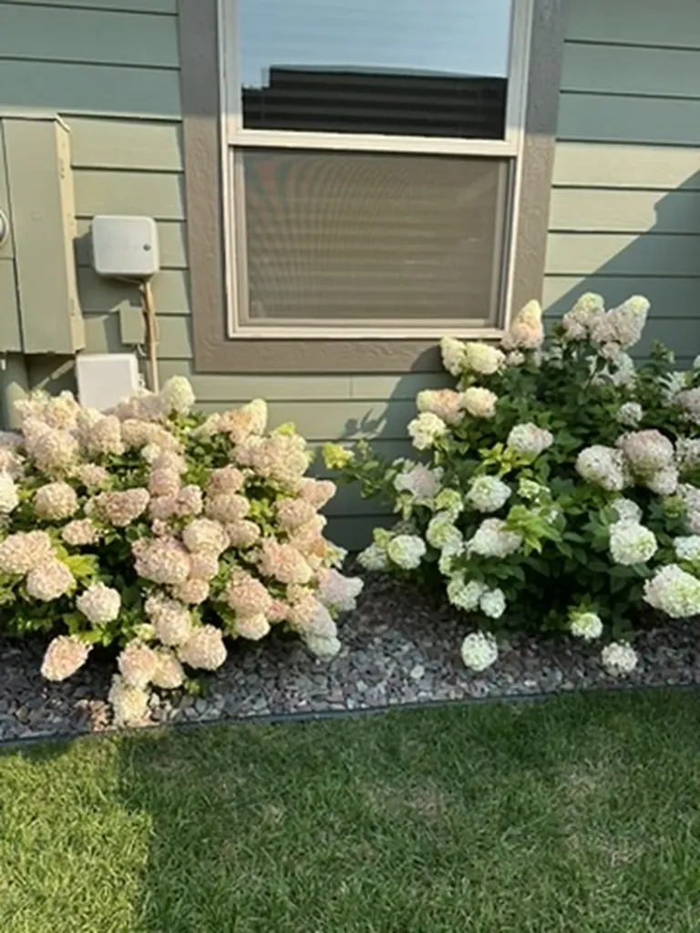 11 White Bark Lane Kalispell MT 59901