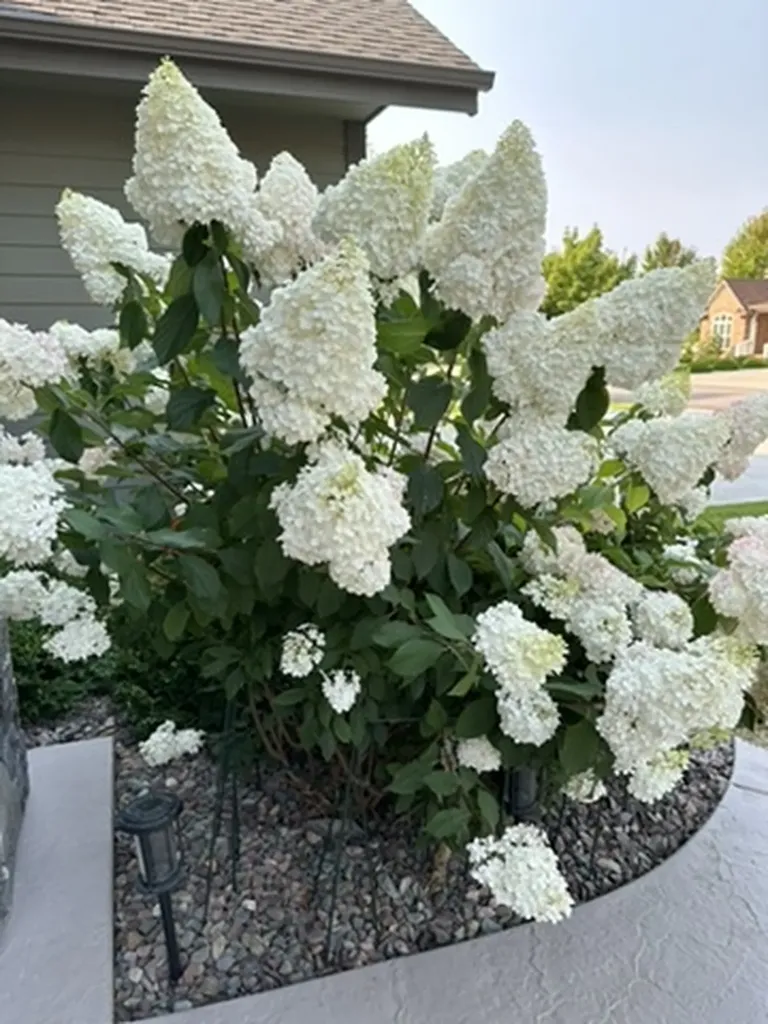 11 White Bark Lane Kalispell MT 59901