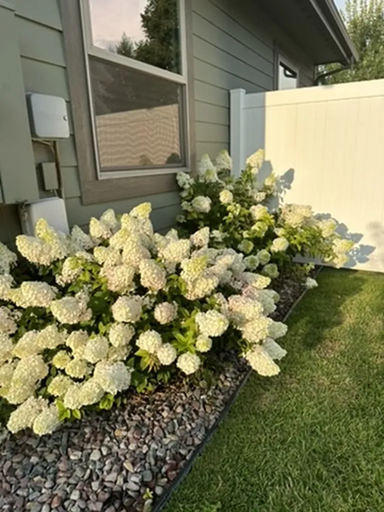 11 White Bark Lane Kalispell MT 59901