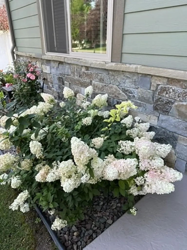 11 White Bark Lane Kalispell MT 59901