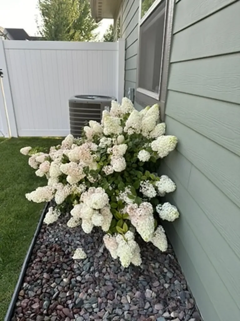 11 White Bark Lane Kalispell MT 59901