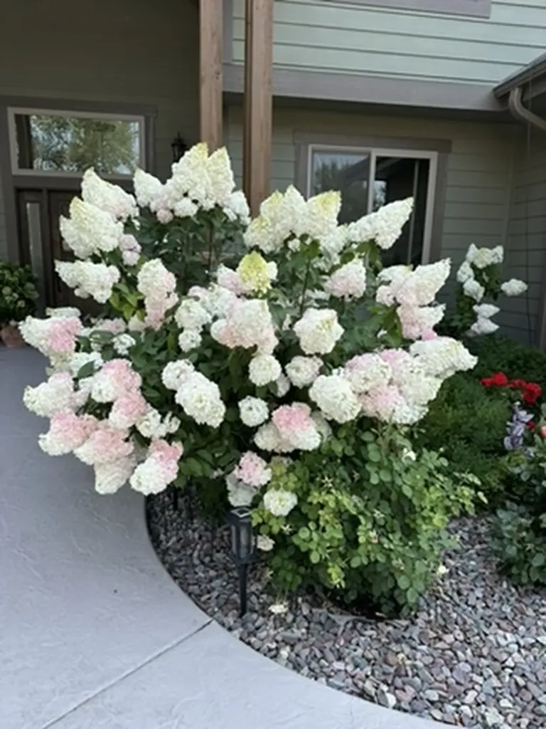 11 White Bark Lane Kalispell MT 59901