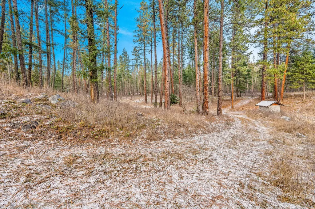 13390 Mount Highway 35 Bigfork MT 59911