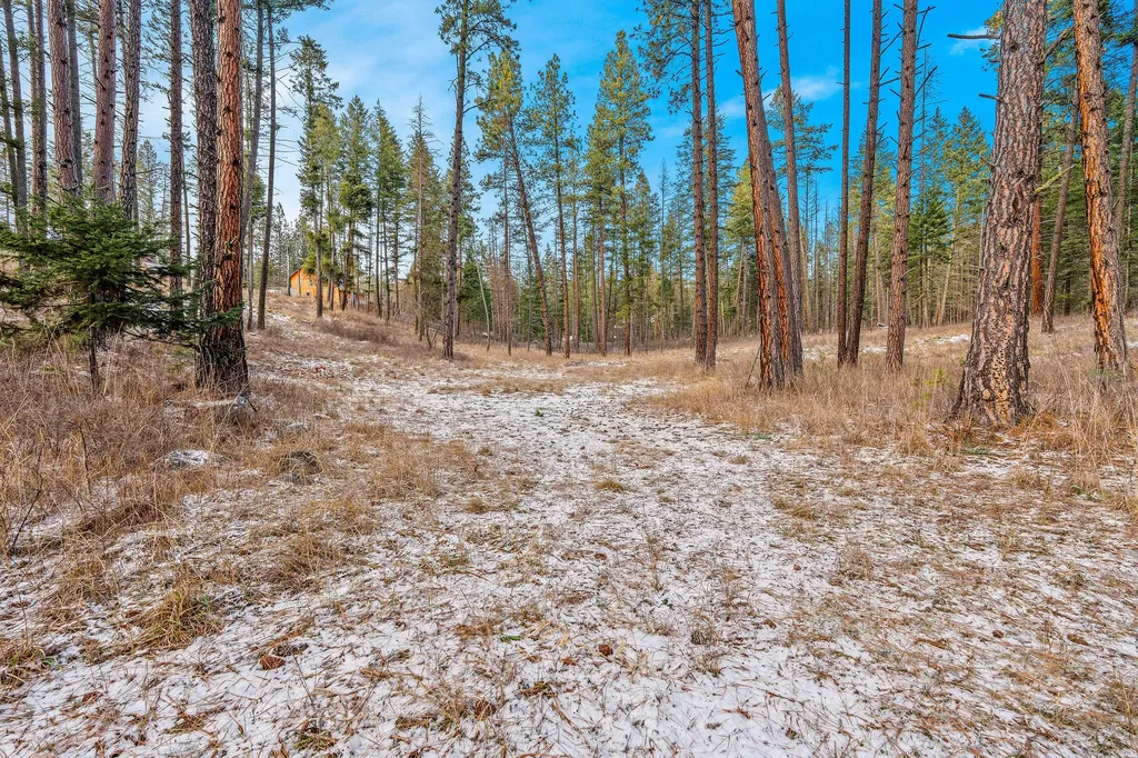 13390 Mount Highway 35 Bigfork MT 59911