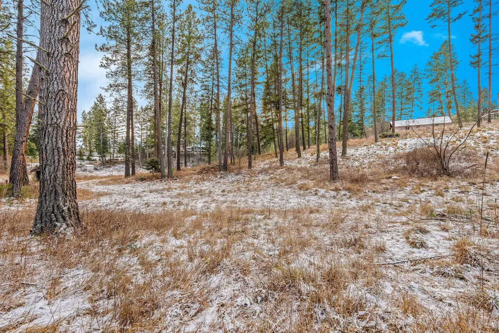 13390 Mount Highway 35 Bigfork MT 59911