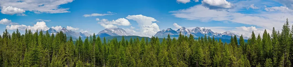15645 North Fork Road Polebridge MT 59928