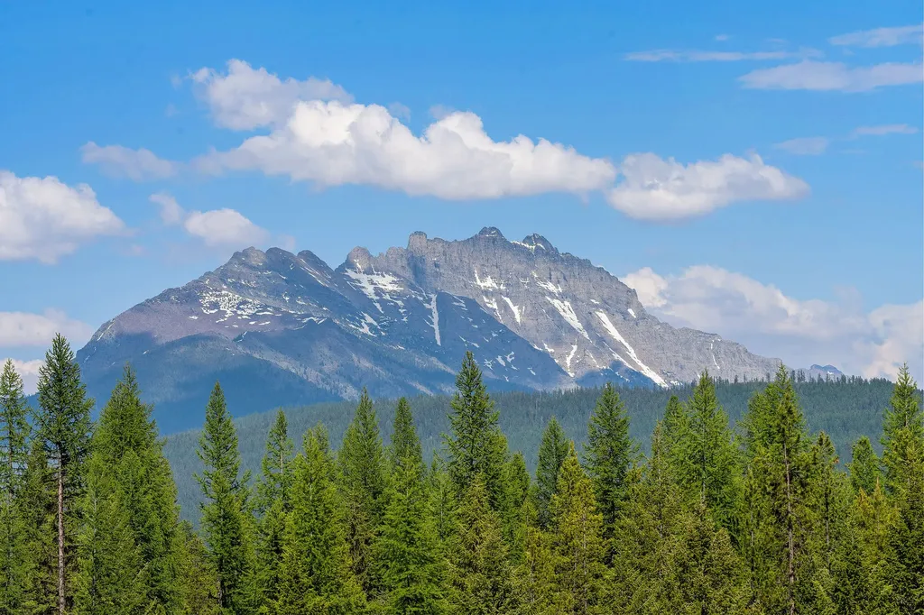15645 North Fork Road Polebridge MT 59928
