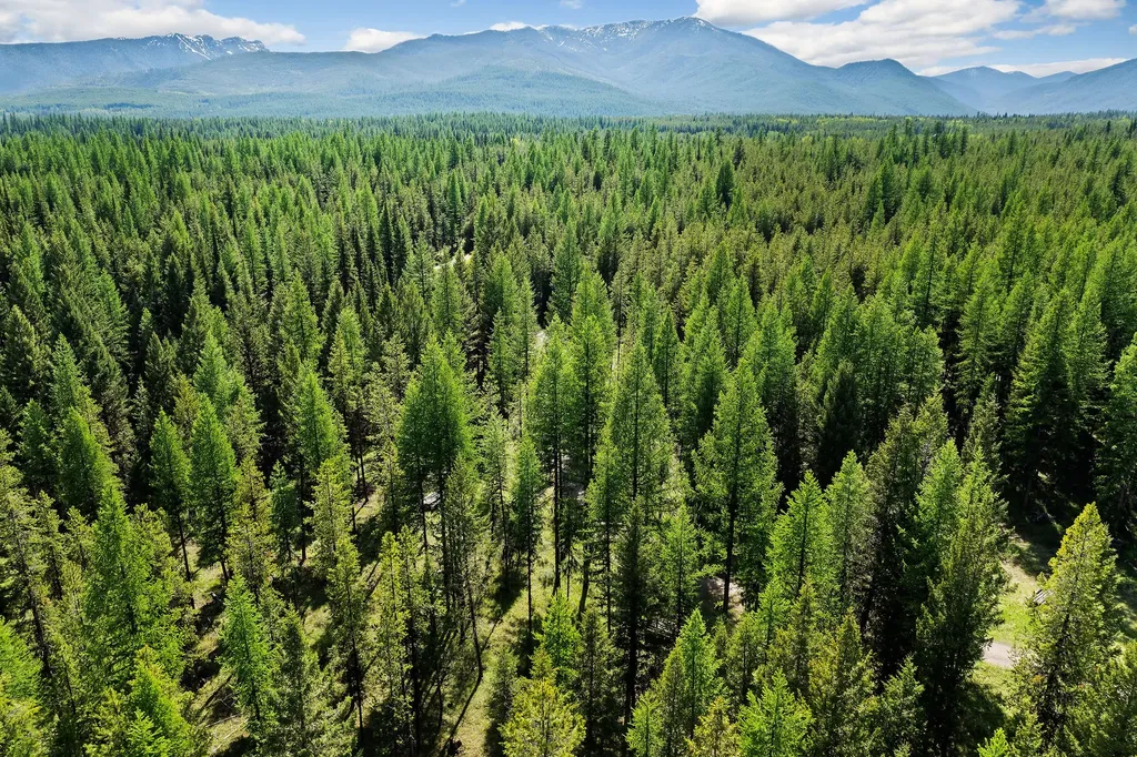 15645 North Fork Road Polebridge MT 59928