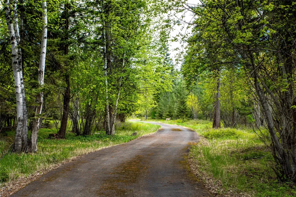 380 & 390 Haskill Basin Road Whitefish MT 59937