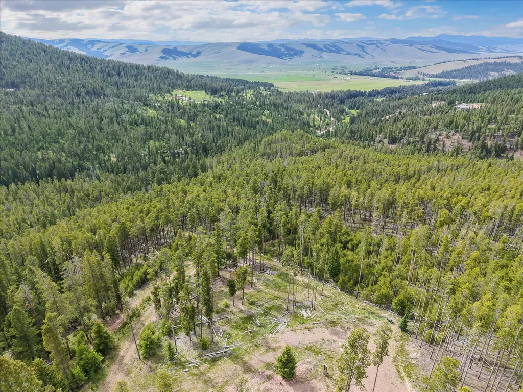 Lot 3 Georgetown Lake Estates Philipsburg MT 59858