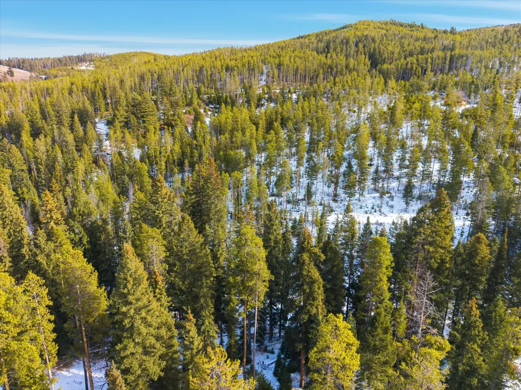 Lot 3 Georgetown Lake Estates Philipsburg MT 59858