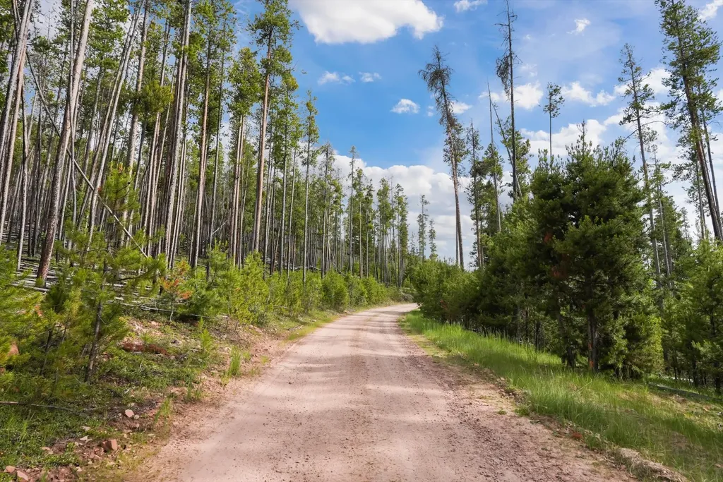 Lot 3 Georgetown Lake Estates Philipsburg MT 59858