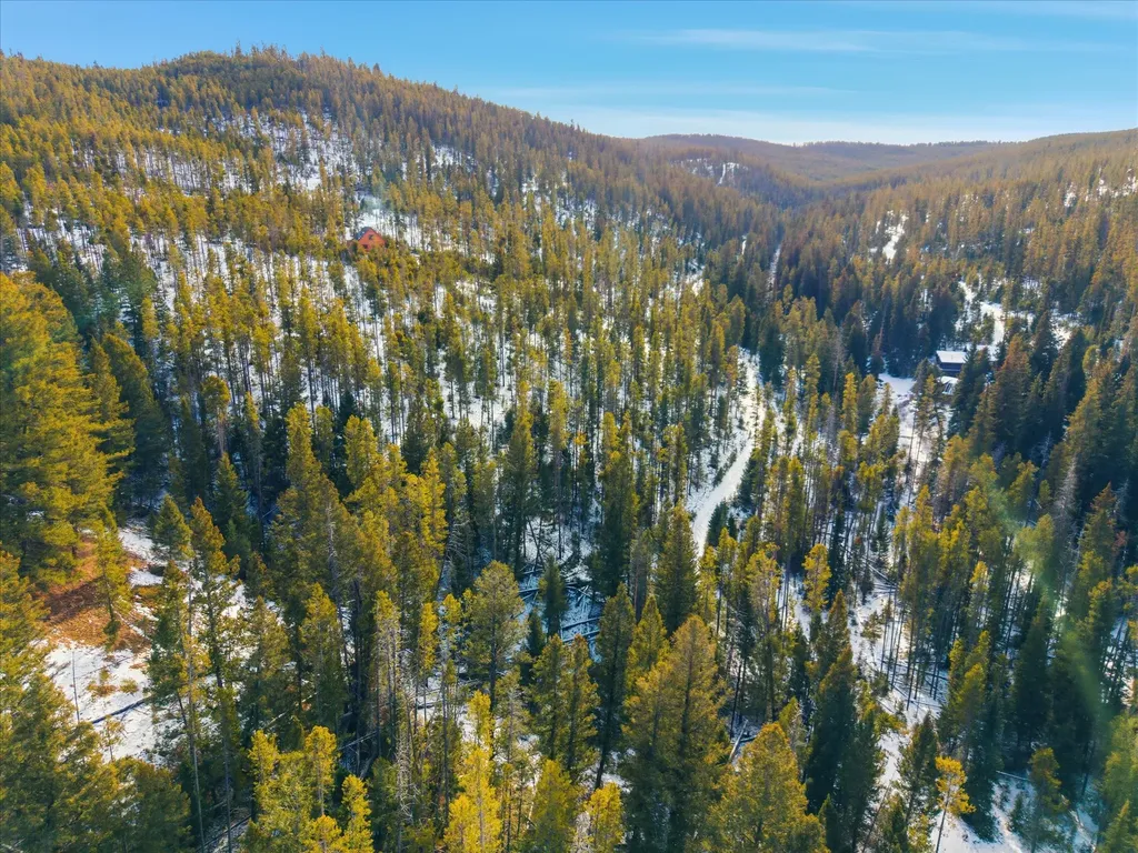 Lot 3 Georgetown Lake Estates Philipsburg MT 59858