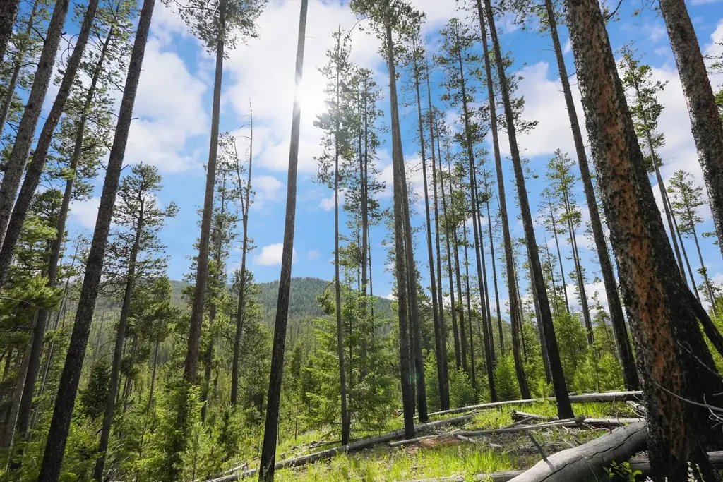 Lot 3 Georgetown Lake Estates Philipsburg MT 59858