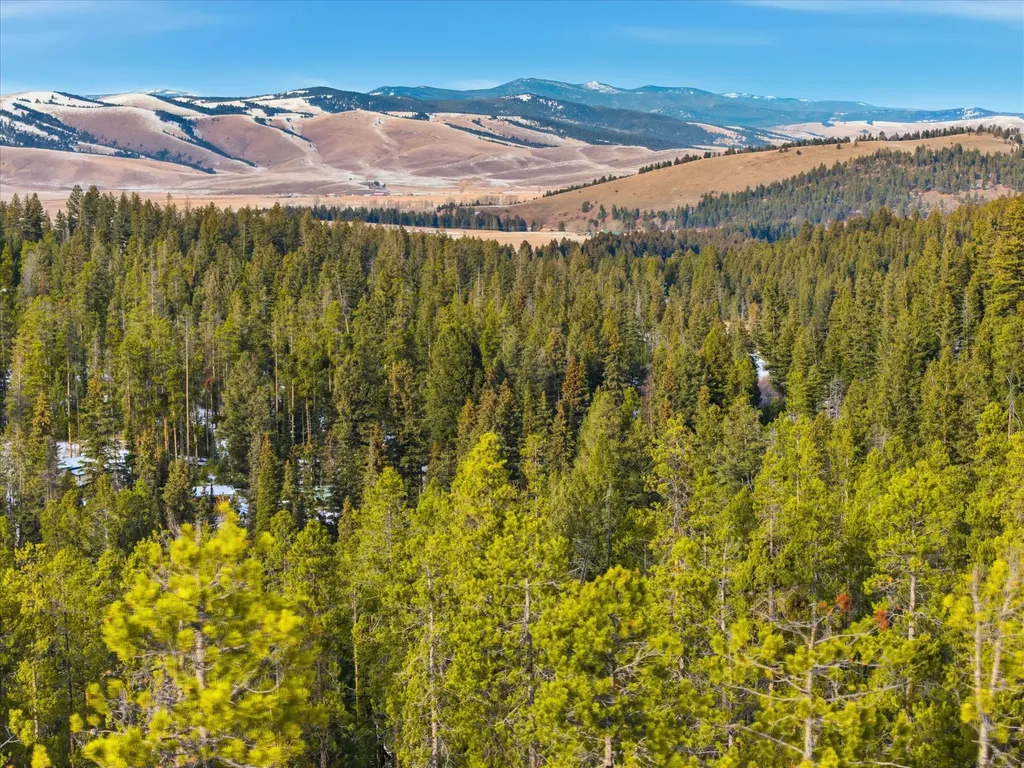 Lot 3 Georgetown Lake Estates Philipsburg MT 59858