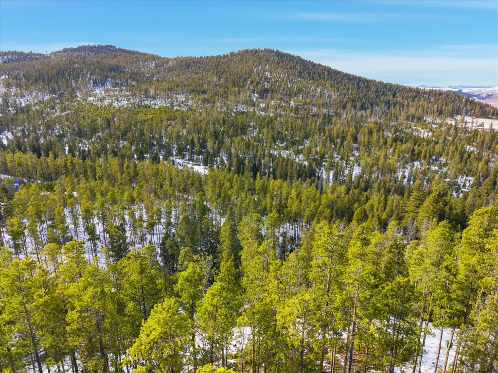 Lot 3 Georgetown Lake Estates Philipsburg MT 59858