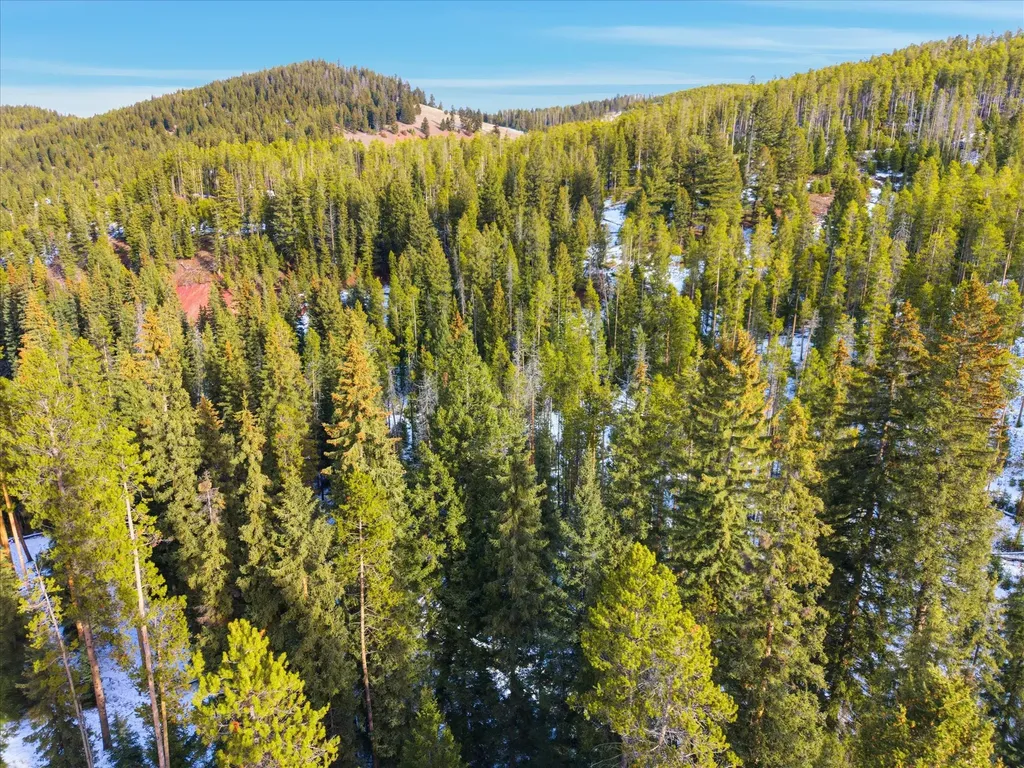 Lot 3 Georgetown Lake Estates Philipsburg MT 59858