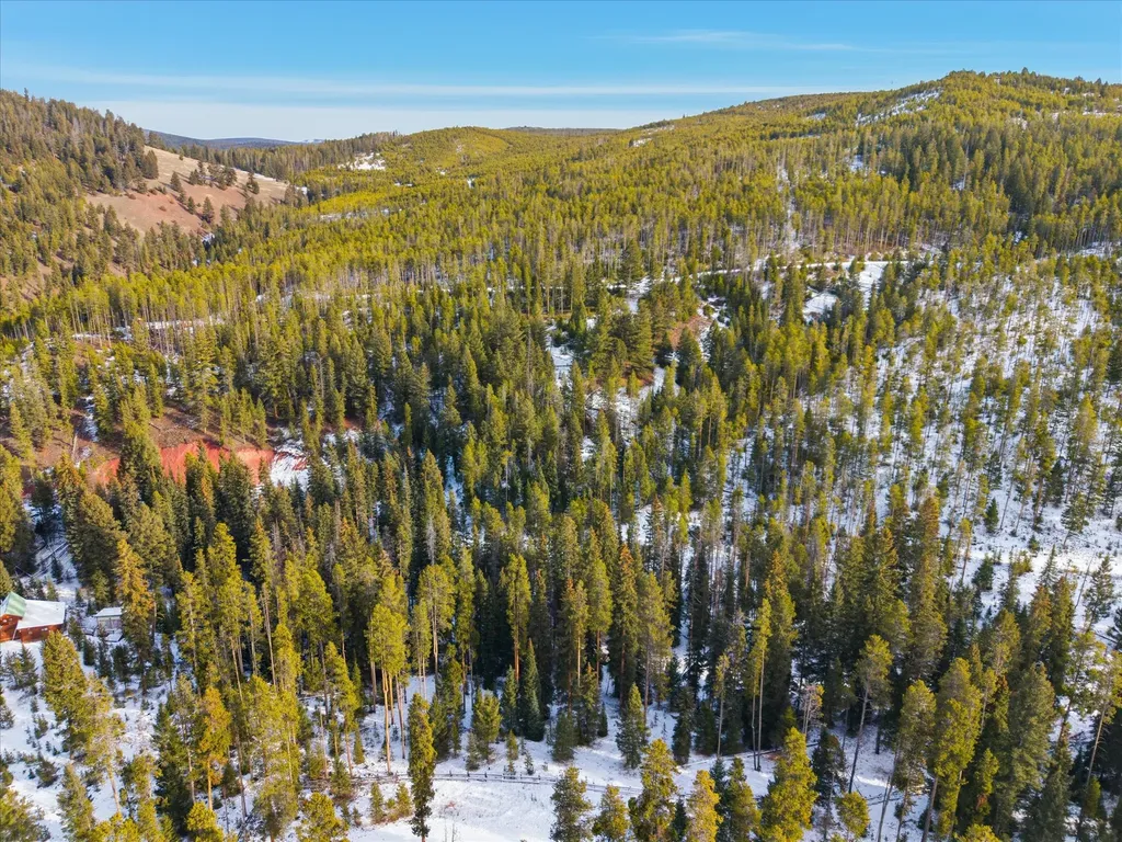 Lot 3 Georgetown Lake Estates Philipsburg MT 59858