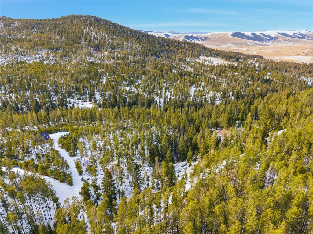Lot 3 Georgetown Lake Estates Philipsburg MT 59858